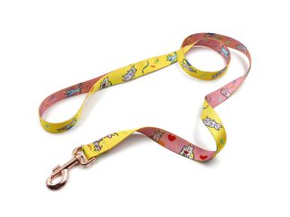 Custom dog leash